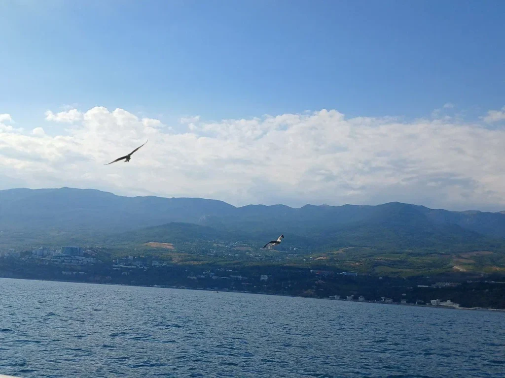 Море, солнце и вода — лучшие друзья шахматистов